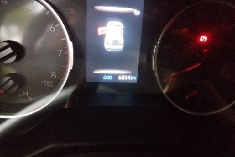 Used Toyota Wildlander 2024 2.0L CVT Two-Wheel Drive Leading Edition Odometer Close Up