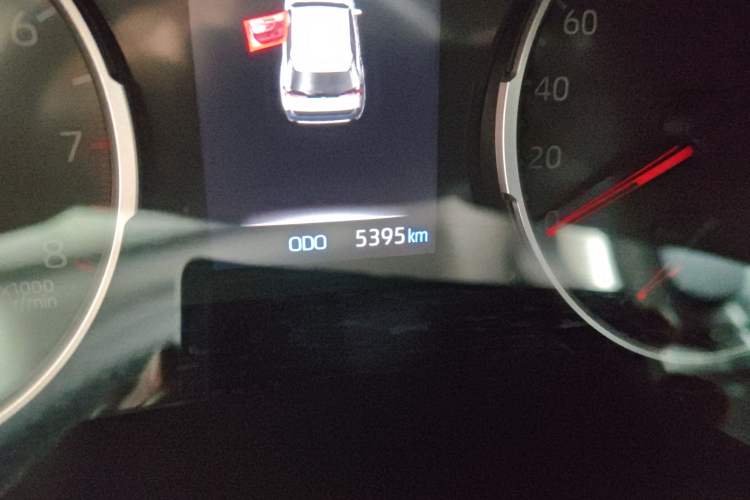 Used Toyota Wildlander 2024 2.0L CVT Two-Wheel Drive Leading Edition Odometer Close Up