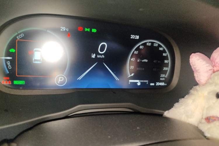 Used Toyota Wildlander 2024 Dual-Motor 2.5L E-CVT Two-Wheel Drive Luxury PLUS Edition Odometer Close Up