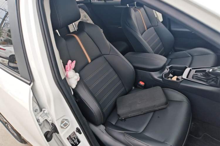 Used Toyota Wildlander 2024 2.0L CVT Two-Wheel Drive Luxury PLUS Edition Right Front Seat