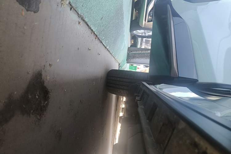 Used Toyota Wildlander 2024 2.0L CVT Two-Wheel Drive Luxury PLUS Edition Right Side Sill