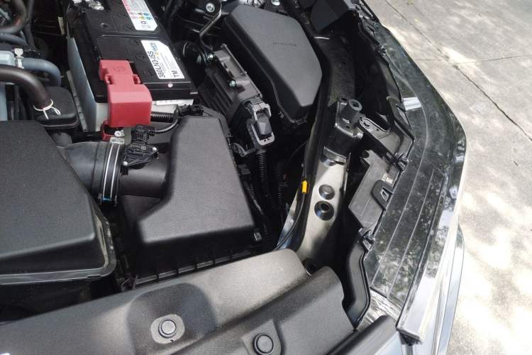 Used Toyota Wildlander 2026 Model 2.0L PRO Engine Bay Left