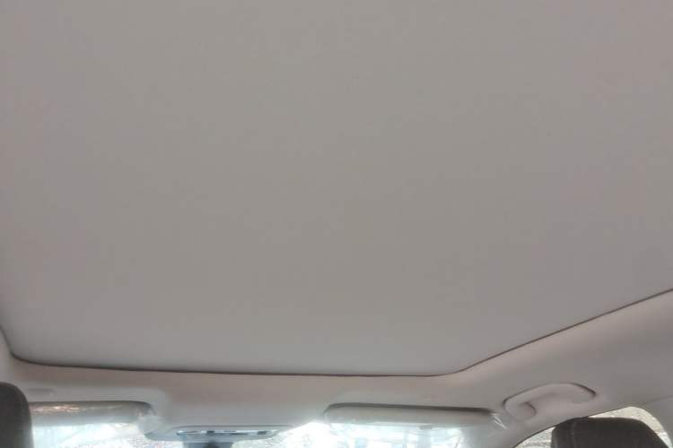 Used Toyota Wildlander 2026 Model 2.0L Smart Electric Hybrid Dual-Engine PRO Headliner
