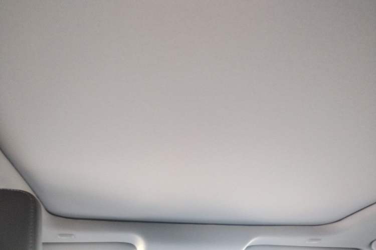 Used Toyota Wildlander 2026 Model 2.0L PRO Headliner