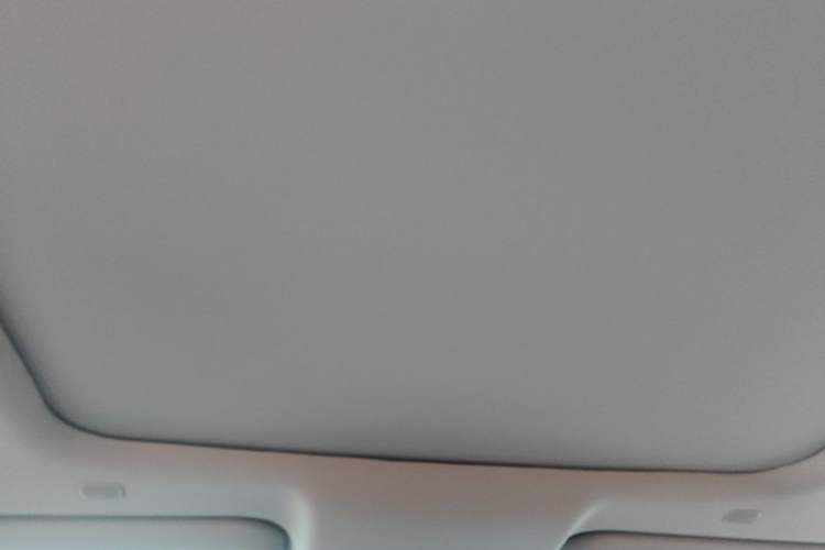 Used Toyota Wildlander 2026 Model 2.0L Smart Electric Hybrid Dual-Engine PRO+ Headliner