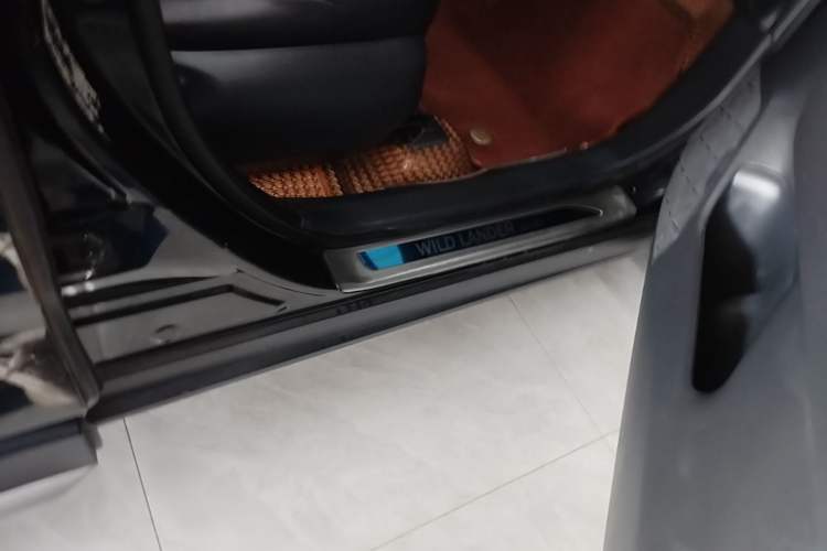 Used Toyota Wildlander New Energy 2021 High-Performance Edition 2.5L Two-Wheel Drive Powerful Version Right Side Sill