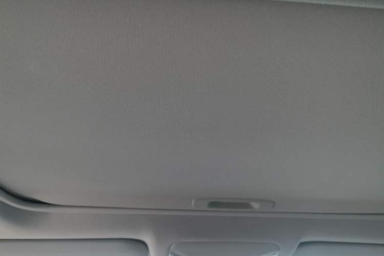 Used Toyota Wildlander New Energy 2021 High-Performance Edition 2.5L Two-Wheel Drive Powerful Version Headliner