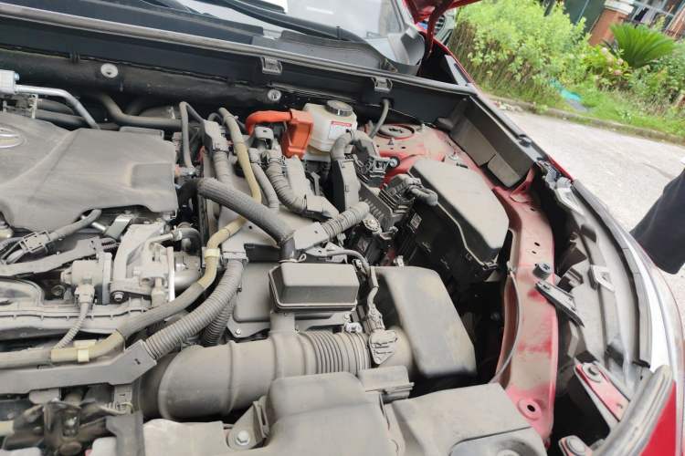 Used Toyota Wildlander New Energy 2021 High-Performance Edition 2.5L Two-Wheel Drive Powerful Version Engine Bay Left
