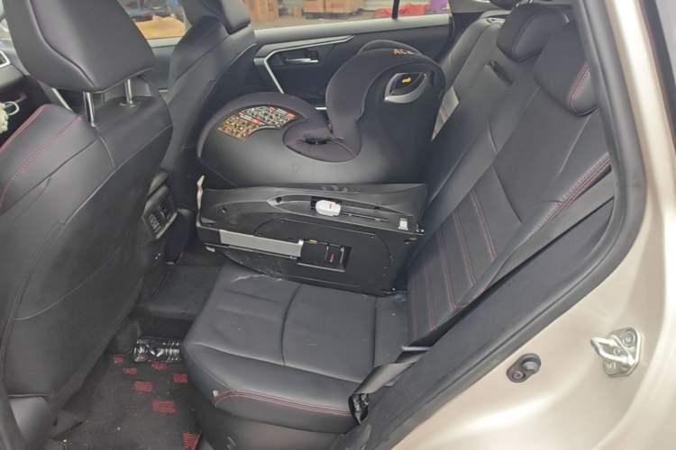 Used Toyota Wildlander New Energy 2021 High-Performance Edition 2.5L Two-Wheel Drive Powerful Version Left Rear Seat