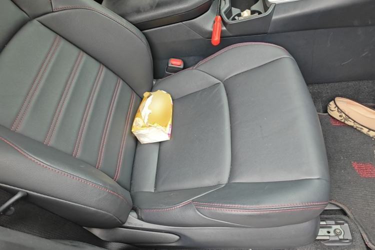 Used Toyota Wildlander New Energy 2021 High-Performance Edition 2.5L Two-Wheel Drive Powerful Version Right Front Seat