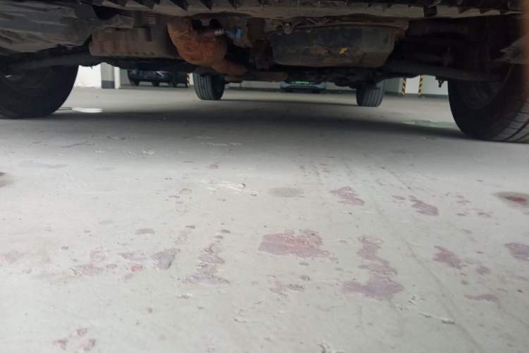 Used Toyota YARiS L Zhi Xiang 2020 1.5L CVT Leading Edition Chassis Front