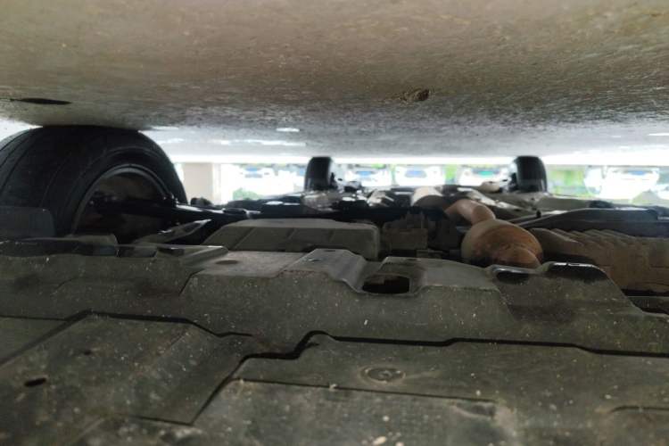 Used Toyota YARiS L Zhi Xiang 2020 1.5L CVT Leading Edition Chassis Front