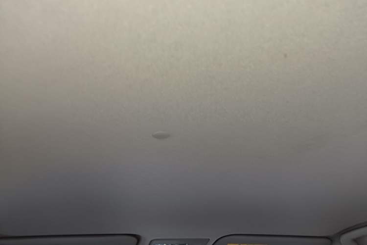 Used Toyota YARiS L Zhi Xiang 2020 1.5L CVT Leading Edition Headliner