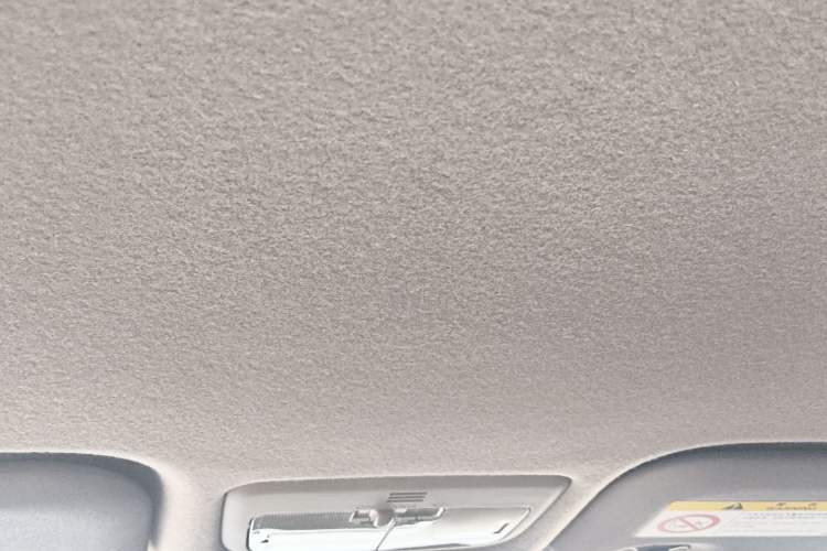 Used Toyota YARiS L Zhi Xiang 2020 1.5L CVT Leading Edition Headliner