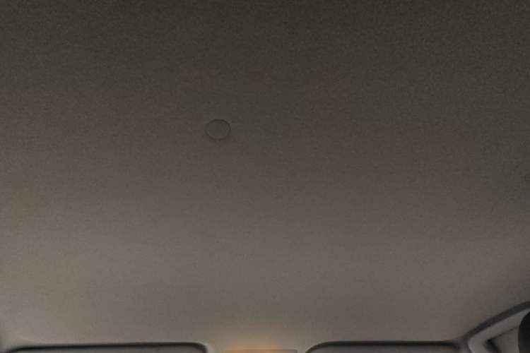 Used Toyota YARiS L Zhi Xiang 2020 1.5L CVT Leading Edition Headliner