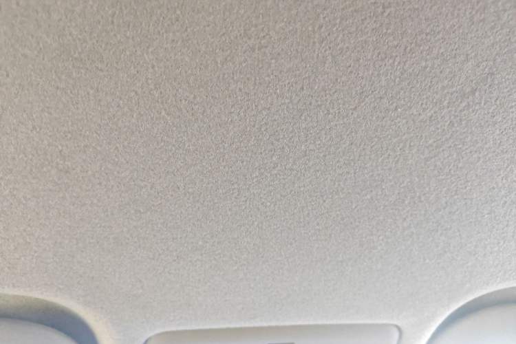 Used Toyota YARiS L Zhi Xiang 2020 1.5L CVT Leading Edition Headliner
