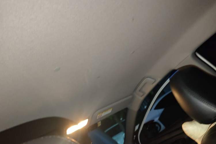 Used Toyota YARiS L Zhi Xiang 2020 1.5L CVT Leading Edition Headliner