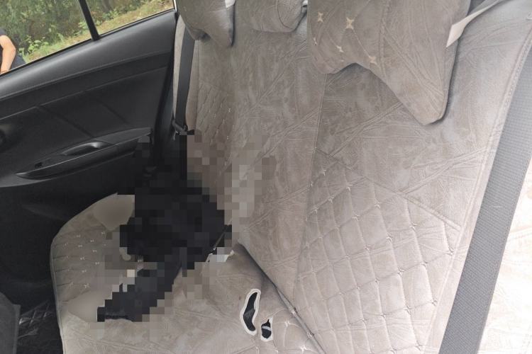 Used Toyota YARiS L Zhi Xiang 2020 1.5L CVT Leading Edition Left Rear Seat