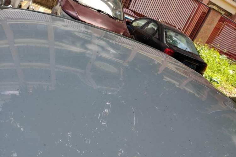 Used Toyota YARiS L Zhi Xiang 2020 1.5L CVT Leading Edition Roof