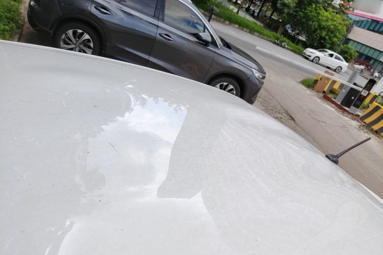Used Toyota YARiS L Zhi Xiang 2020 1.5L CVT Leading Edition Roof