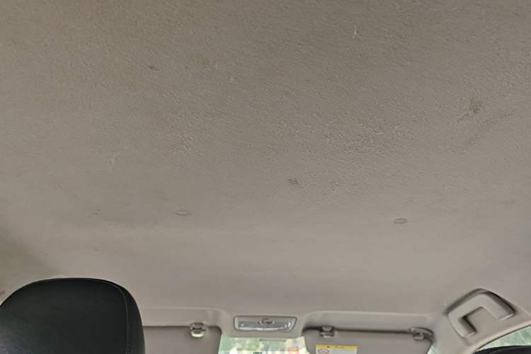 Used Toyota YARiS L Zhi Xuan 2014 1.3E Automatic Charm Edition Headliner