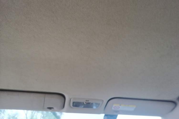 Used Toyota YARiS L Zhi Xuan 2014 1.3E Automatic Charm Edition Headliner