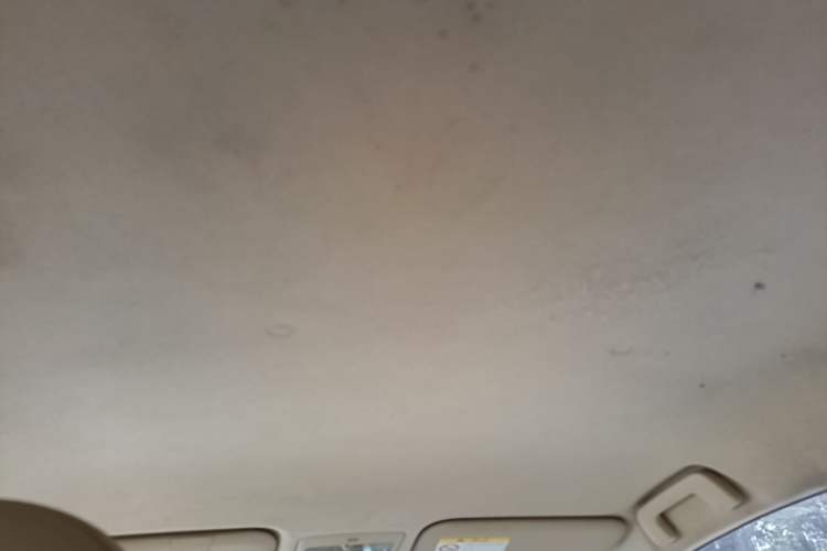 Used Toyota YARiS L Zhi Xuan 2015 1.5E Automatic Charm Edition Headliner