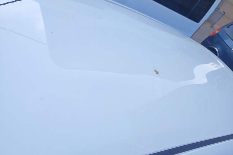 Used Toyota YARiS L Zhi Xuan 2015 1.5E Automatic Charm Edition Roof