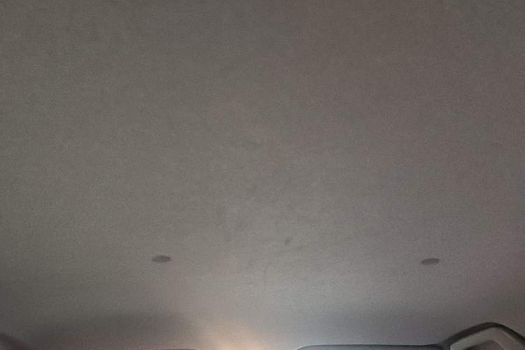 Used Toyota YARiS L Zhi Xuan 2016 Revised 1.5E CVT Charming Edition Headliner