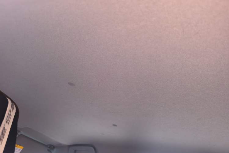 Used Toyota YARiS L Zhi Xuan 2016 Revised 1.5E CVT Charming Edition Headliner