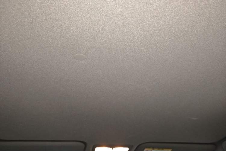 Used Toyota YARiS L Zhi Xuan 2020 X-Trail X 1.5L CVT Leading Edition Headliner