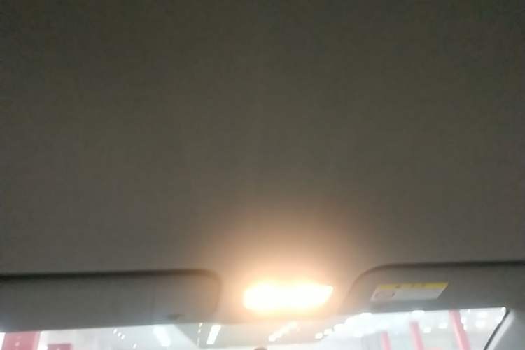 Used Toyota YARiS L Zhi Xuan 2020 X-Trail X 1.5L CVT Luxury Edition Headliner