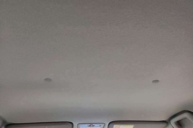 Used Toyota YARiS L Zhi Xuan 2020 X-Trail X 1.5L CVT Luxury Edition Headliner