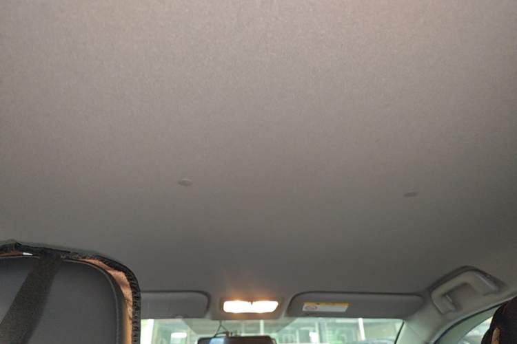Used Toyota YARiS L Zhi Xuan 2020 X-Trail X 1.5L CVT Luxury Edition Headliner