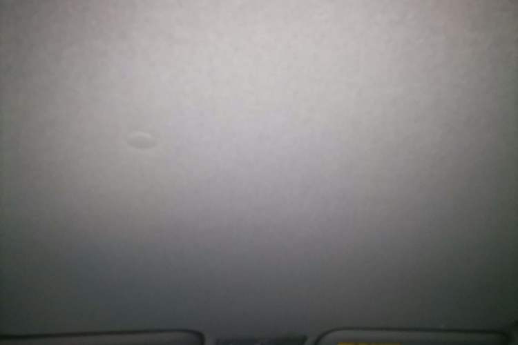 Used Toyota YARiS L Zhi Xuan 2020 X-Trail X 1.5L CVT Leading Edition Headliner