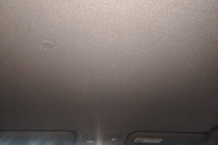 Used Toyota YARiS L Zhi Xuan 2020 1.5L CVT Leading Edition Headliner