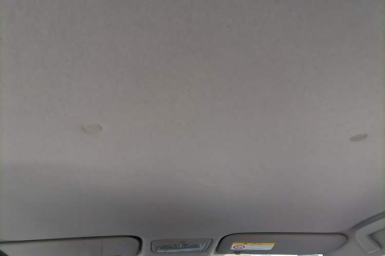 Used Toyota YARiS L Zhi Xuan 2020 X-Trail X 1.5L CVT Leading Edition Headliner