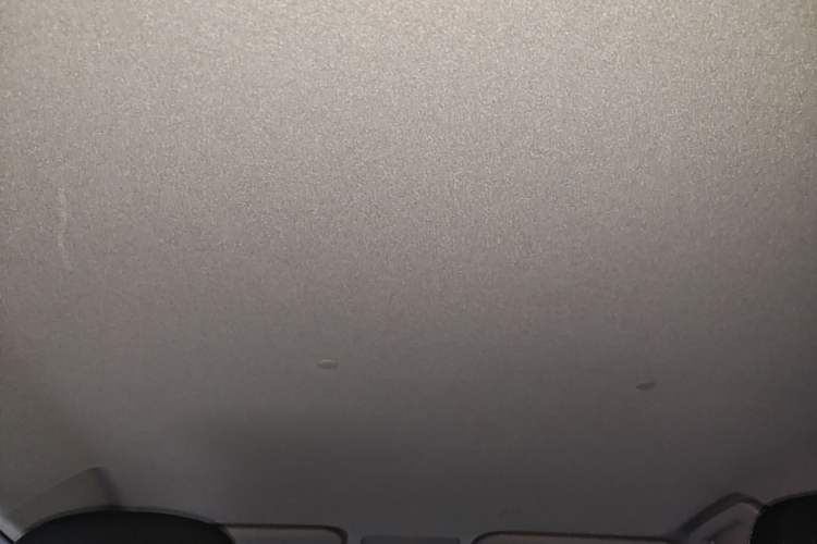 Used Toyota YARiS L Zhi Xuan 2020 1.5L CVT Leading Edition Headliner