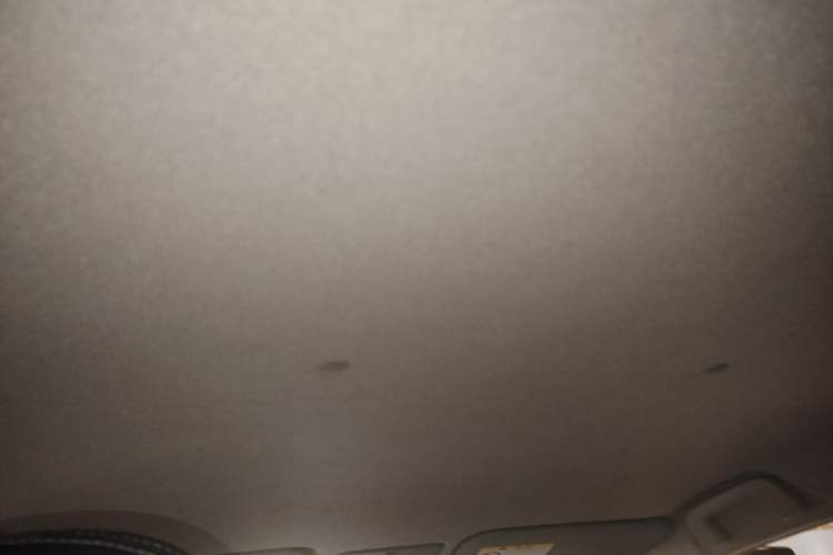 Used Toyota YARiS L Zhi Xuan 2020 X-Trail X 1.5L CVT Leading Edition Headliner