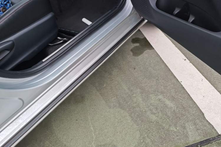 Used Toyota YARiS L Zhi Xuan 2020 X-Trail X 1.5L CVT Luxury Edition Right Side Sill