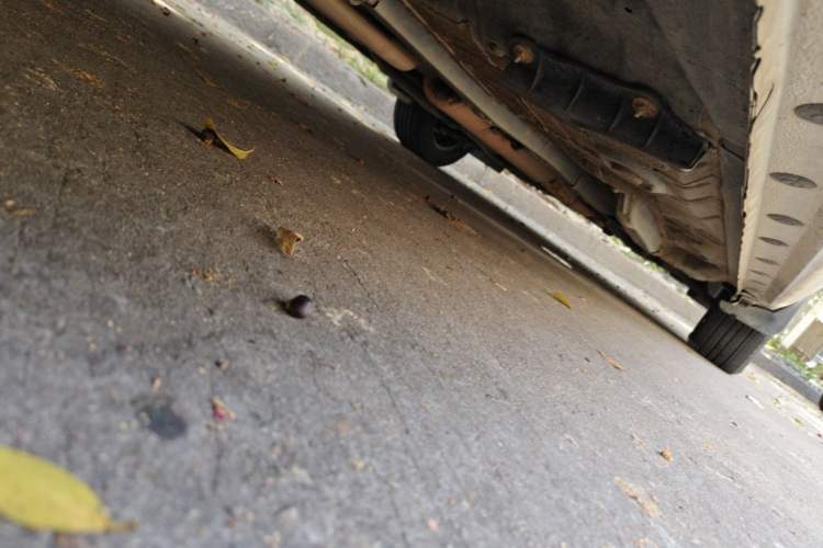 Used Toyota YARiS L Zhi Xuan  Chassis Rear Right
