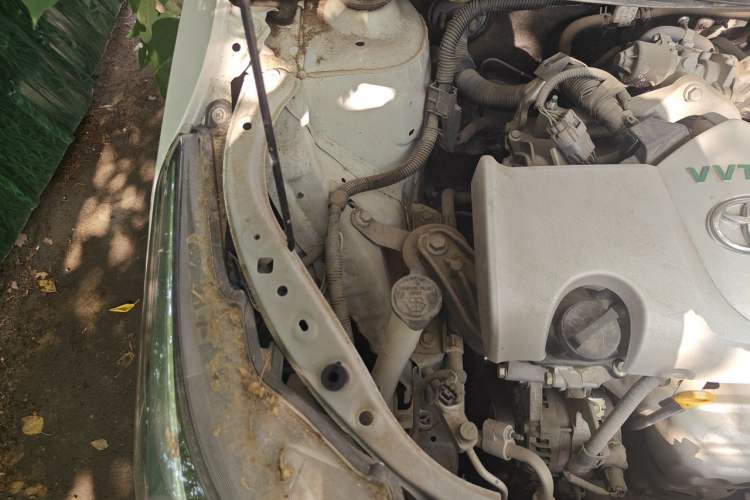 Used Toyota YARiS L Zhi Xuan 2020 1.5L CVT Leading Edition Engine Bay Right