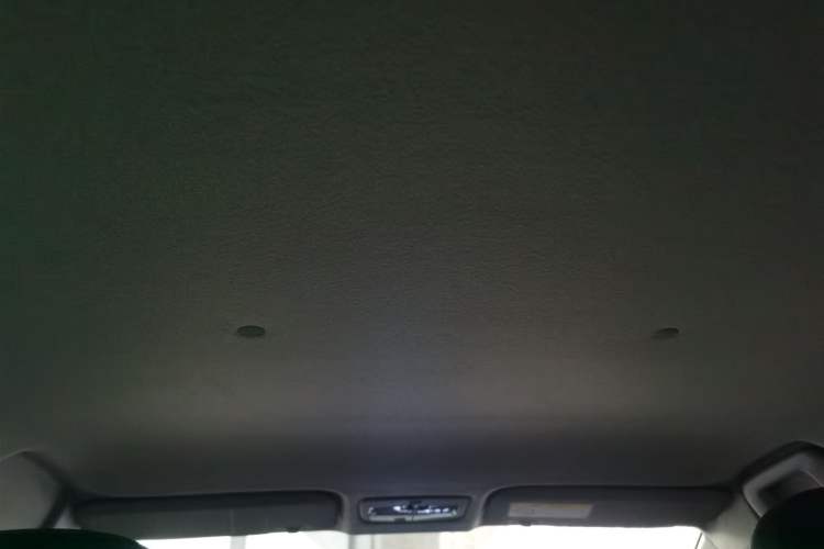 Used Toyota YARiS L Zhi Xuan 2020 X-Trail X 1.5L CVT Luxury Edition Headliner