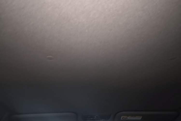 Used Toyota YARiS L Zhi Xuan 2020 X-Trail X 1.5L CVT Leading Edition Headliner