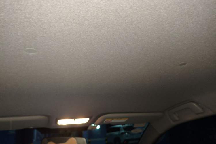 Used Toyota YARiS L Zhi Xuan 2020 X-Trail X 1.5L CVT Luxury Edition Headliner
