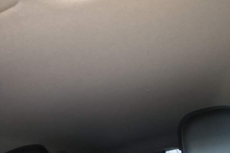 Used Toyota YARiS L Zhi Xuan 2020 X-Trail X 1.5L CVT Luxury Edition Headliner