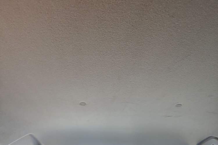 Used Toyota YARiS L Zhi Xuan 2020 X-Trail X 1.5L CVT Leading Edition Headliner