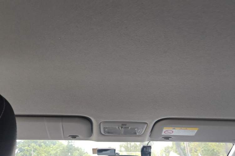 Used Toyota YARiS L Zhi Xuan 2020 X-Trail X 1.5L CVT Leading Edition Headliner