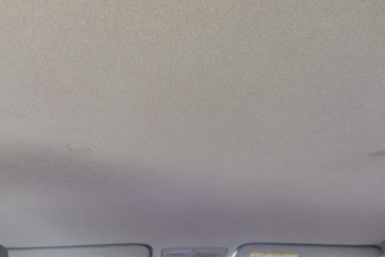 Used Toyota YARiS L Zhi Xuan 2020 X-Trail X 1.5L CVT Luxury Edition Headliner