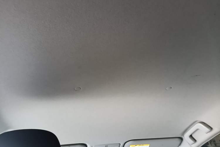 Used Toyota YARiS L Zhi Xuan 2020 X-Trail X 1.5L CVT Leading Edition Headliner